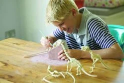 Kit De Fouille Tyrannosaure 4M -Jouets Pour Enfants Kit de fouille tyrannosaure 4M 10 1