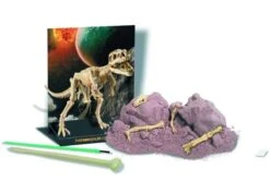 Kit De Fouille Tyrannosaure 4M -Jouets Pour Enfants Kit de fouille tyrannosaure 4M 2 1