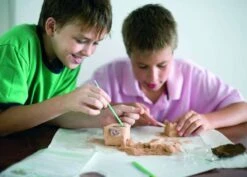 Kit De Fouille Tyrannosaure 4M -Jouets Pour Enfants Kit de fouille tyrannosaure 4M 3 1