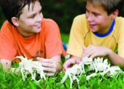 Kit De Fouille Tyrannosaure 4M -Jouets Pour Enfants Kit de fouille tyrannosaure 4M 4 1