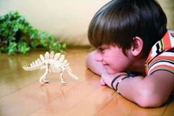 Kit De Fouille Tyrannosaure 4M -Jouets Pour Enfants Kit de fouille tyrannosaure 4M 5 1