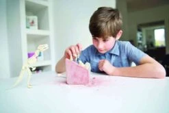 Kit De Fouille Tyrannosaure 4M -Jouets Pour Enfants Kit de fouille tyrannosaure 4M 7 1