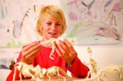 Kit De Fouille Tyrannosaure 4M -Jouets Pour Enfants Kit de fouille tyrannosaure 4M 8 1