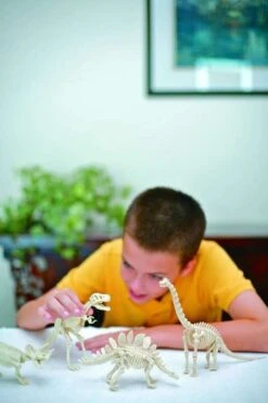 Kit De Fouille Tyrannosaure 4M -Jouets Pour Enfants Kit de fouille tyrannosaure 4M 9 1