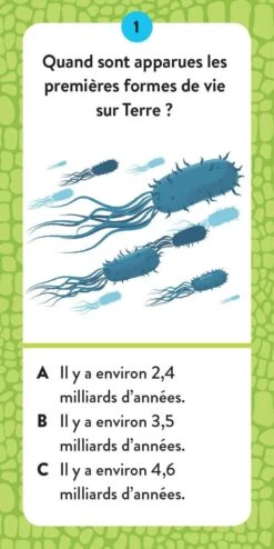 Le Coffret Méga Atlas Des Dinosaures Sassi Junior -Jouets Pour Enfants Le coffret mega atlas des dinosaures Sassi Junior 2