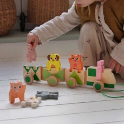 Train D'activités à Tirer Trainimo Ferme Djeco