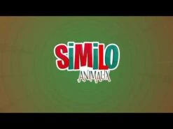 Jeu De Cartes Similo Animaux Gigamic 11 Jeu De Cartes Similo Animaux Gigamic -Jouets Pour Enfants hqdefault 2 61