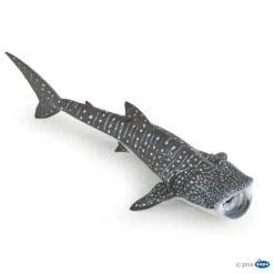 Figurine Requin Baleine Papo