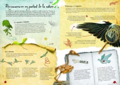 Livre Et Maquette Machines Volantes Sassi 9 Livre Et Maquette Machines Volantes Sassi -Jouets Pour Enfants sa609726 3 1