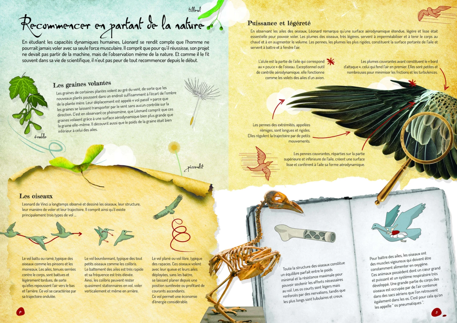 Livre Et Maquette Machines Volantes Sassi 5 Livre Et Maquette Machines Volantes Sassi – Image 5